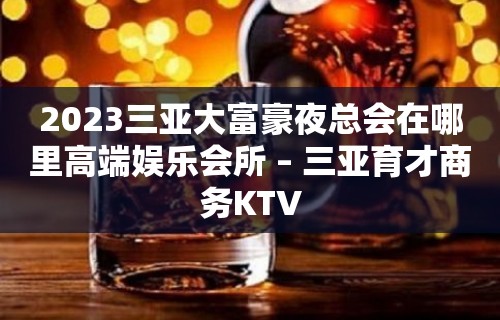 2023三亚大富豪夜总会在哪里高端娱乐会所 – 三亚育才商务KTV