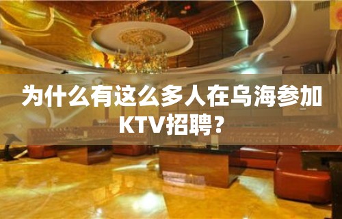 为什么有这么多人在乌海参加KTV招聘？