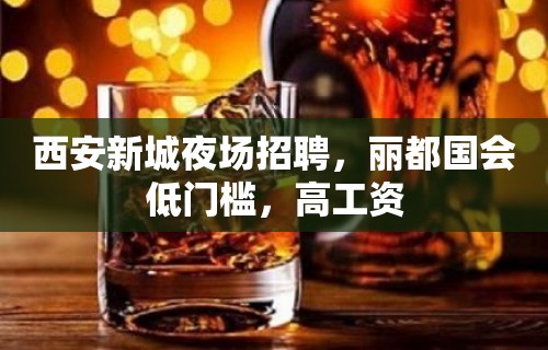 西安新城夜场招聘，丽都国会低门槛，高工资