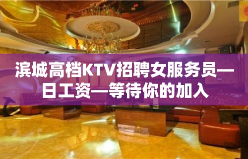 滨城高档KTV招聘女服务员—日工资—等待你的加入