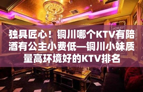 独具匠心！铜川哪个KTV有陪酒喝有公主小费低—铜川小妹质量高环境好的KTV排名