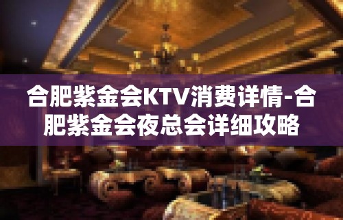 合肥紫金会KTV消费详情-合肥紫金会夜总会详细攻略