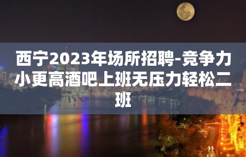 西宁2023年场所招聘-竞争力小更高酒吧上班无压力轻松二班