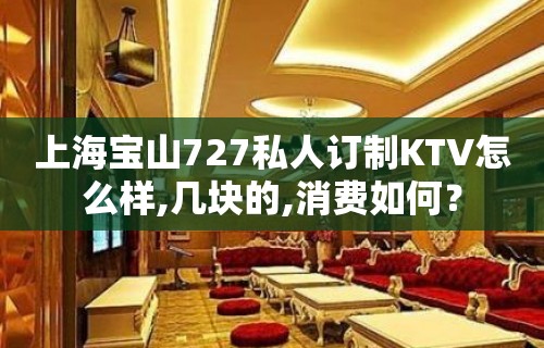 上海宝山727私人订制KTV怎么样,几块的,消费如何？