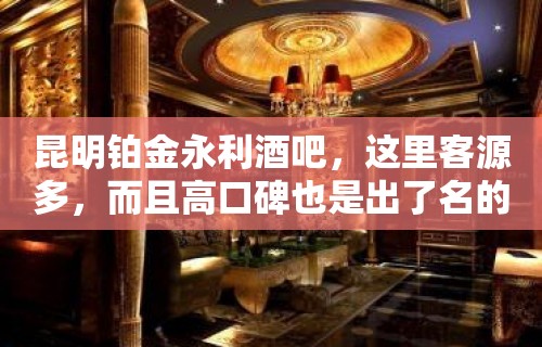 昆明铂金永利酒吧，这里客源多，而且高口碑也是出了名的