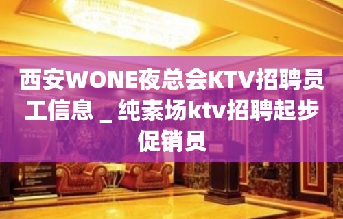 西安WONE夜总会KTV招聘员工信息＿纯素场ktv招聘起步促销员