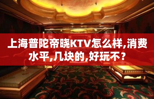 上海普陀帝晓KTV怎么样,消费水平,几块的,好玩不？