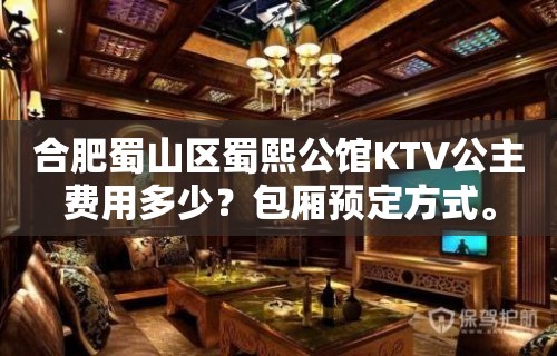 合肥蜀山区蜀熙公馆KTV公主费用多少？包厢预定方式。