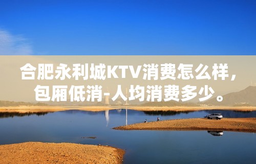 合肥永利城KTV消费怎么样，包厢低消-人均消费多少。