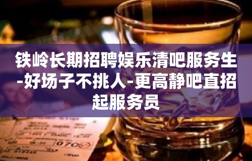 铁岭长期招聘娱乐清吧服务生-好场子不挑人-更高静吧直招起服务员