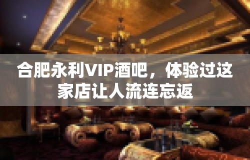 合肥永利VIP酒吧，体验过这家店让人流连忘返