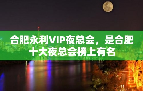 合肥永利VIP夜总会，是合肥十大夜总会榜上有名