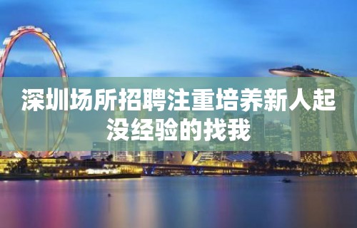 深圳场所招聘注重培养新人起没经验的找我