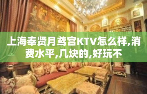 上海奉贤月鸢宫KTV怎么样,消费水平,几块的,好玩不