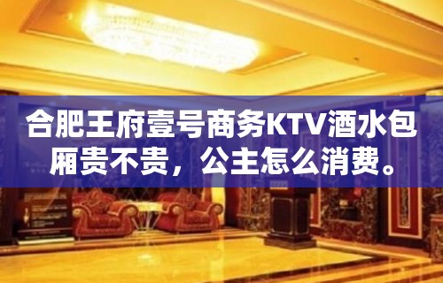 合肥王府壹号商务KTV酒水包厢贵不贵，公主怎么消费。