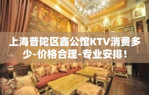 上海普陀区鑫公馆KTV消费多少-价格合理-专业安排！