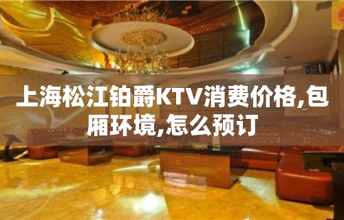 上海松江铂爵KTV消费价格,包厢环境,怎么预订