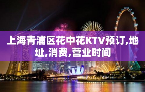 上海青浦区花中花KTV预订,地址,消费,营业时间