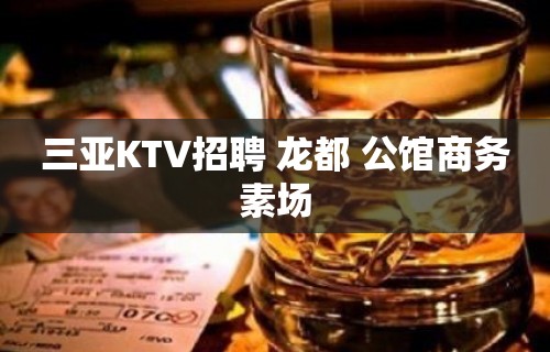 三亚KTV招聘 龙都 公馆商务素场