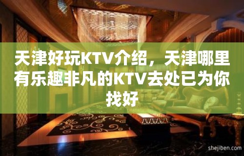 天津好玩KTV介绍，天津哪里有乐趣非凡的KTV去处已为你找好