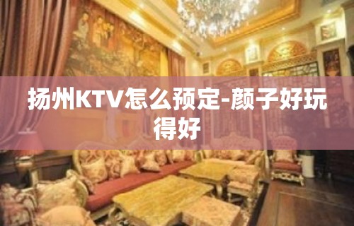 扬州KTV怎么预定-颜子好玩得好