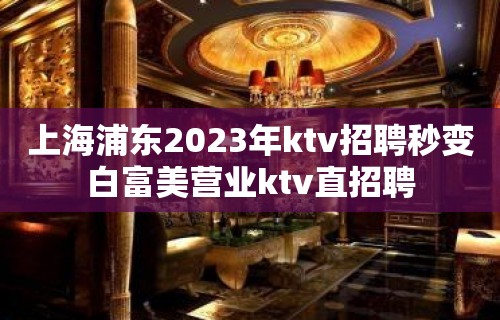 上海浦东2023年ktv招聘秒变白富美营业ktv直招聘