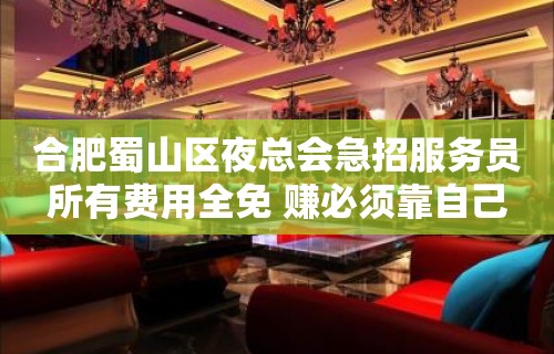 合肥蜀山区夜总会急招服务员所有费用全免 赚必须靠自己