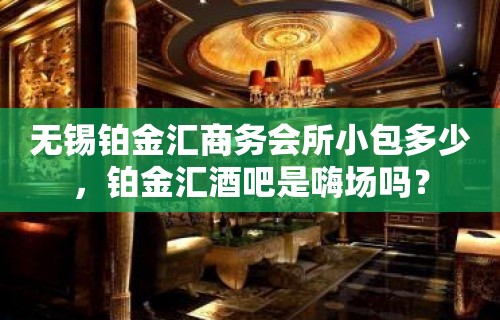 无锡铂金汇商务会所小包多少，铂金汇酒吧是嗨场吗？