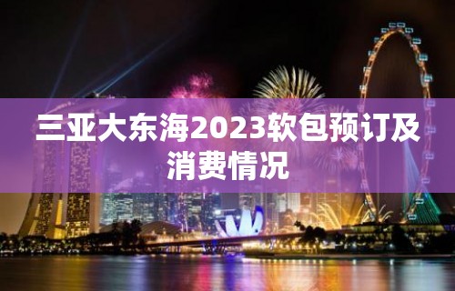 三亚大东海2023软包预订及消费情况