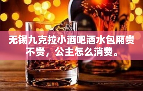 无锡九克拉小酒吧酒水包厢贵不贵，公主怎么消费。