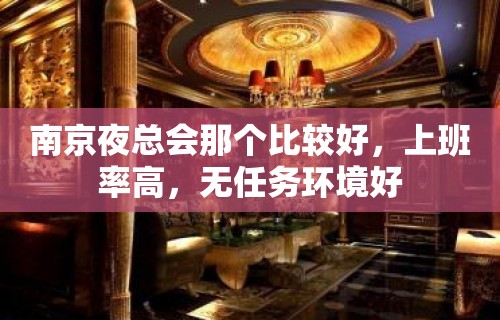 南京夜总会那个比较好，上班率高，无任务环境好