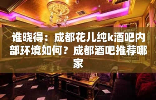 谁晓得：成都花儿纯k酒吧内部环境如何？成都酒吧推荐哪家