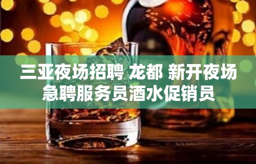 三亚夜场招聘 龙都 新开夜场急聘服务员酒水促销员