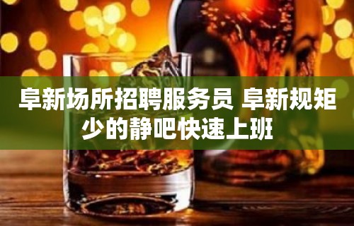 阜新场所招聘服务员 阜新规矩少的静吧快速上班