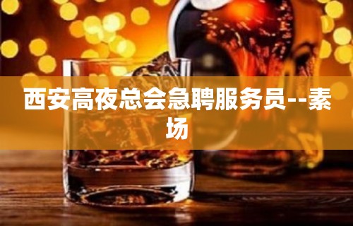 西安高夜总会急聘服务员--素场