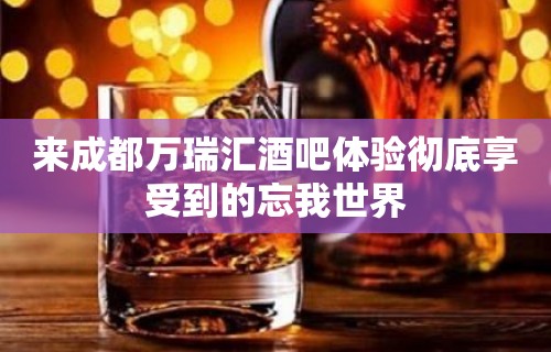 来成都万瑞汇酒吧体验彻底享受到的忘我世界