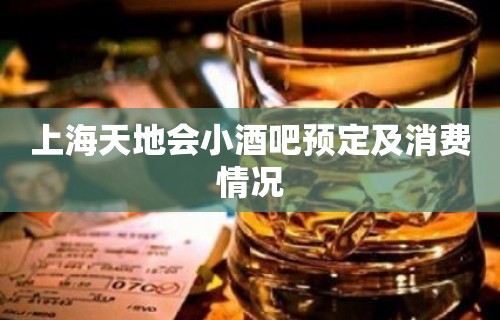 上海天地会小酒吧预定及消费情况