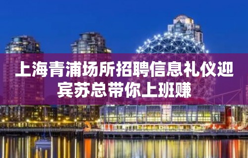 上海青浦场所招聘信息礼仪迎宾苏总带你上班赚