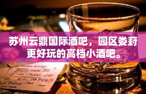 苏州云鼎国际酒吧，园区娄葑更好玩的高档小酒吧。