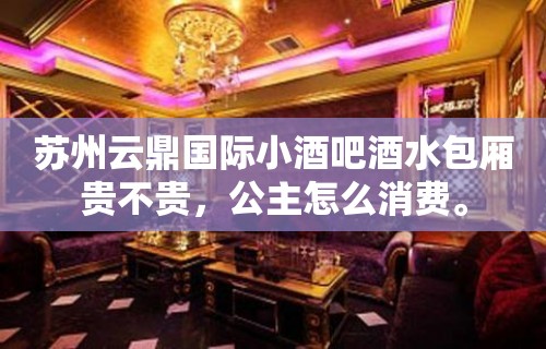 苏州云鼎国际小酒吧酒水包厢贵不贵，公主怎么消费。