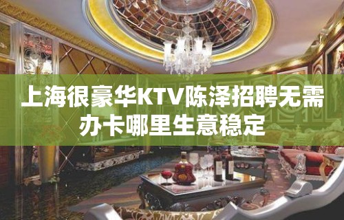 上海很豪华KTV陈泽招聘无需办卡哪里生意稳定