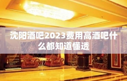 沈阳酒吧2023费用高酒吧什么都知道懂透