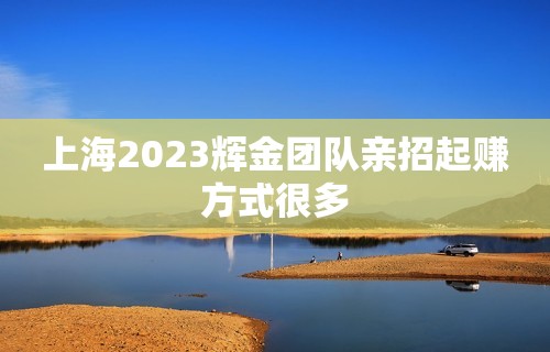 上海2023辉金团队亲招起赚方式很多