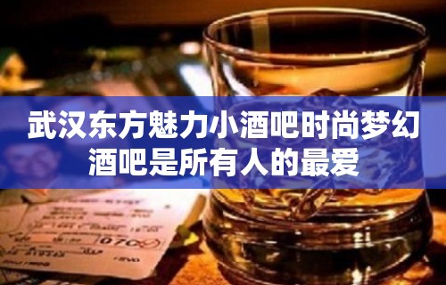 武汉东方魅力小酒吧时尚梦幻酒吧是所有人的最爱