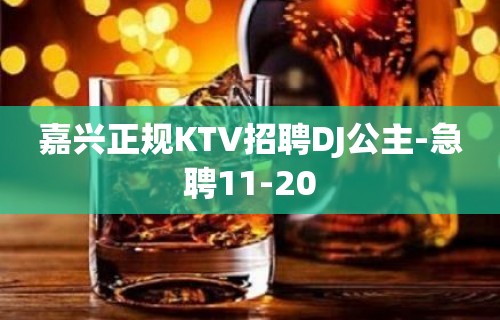 嘉兴正规KTV招聘DJ公主-急聘11-20