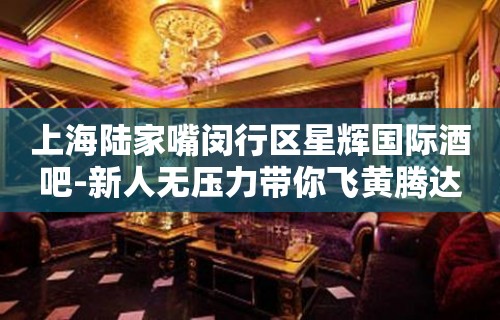 上海陆家嘴闵行区星辉国际酒吧-新人无压力带你飞黄腾达