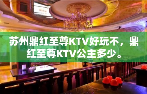 苏州鼎红至尊KTV好玩不，鼎红至尊KTV公主多少。