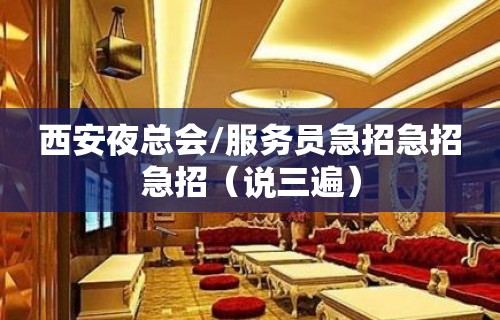 西安夜总会/服务员急招急招急招（说三遍）