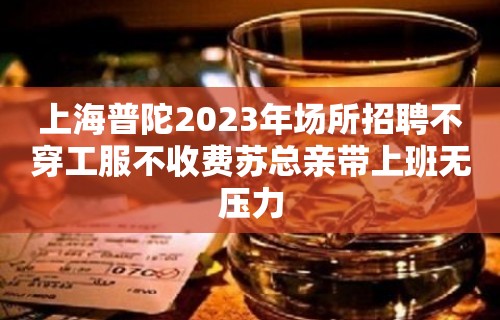 上海普陀2023年场所招聘不穿工服不收费苏总亲带上班无压力