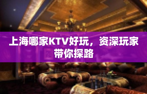 上海哪家KTV好玩，资深玩家带你探路